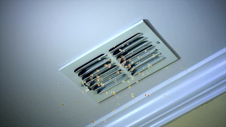 Best Home Air Vent Cleaning  in Horse Shoe, NC