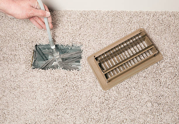 Best Air Duct Mold Removal  in Horse Shoe, NC