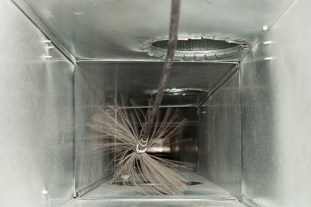 Air Duct Mold Removal in Horse Shoe, NC